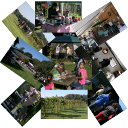 Link naar de Fotogallerij van 2008