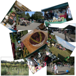 Link naar de Fotogallerij van 2009