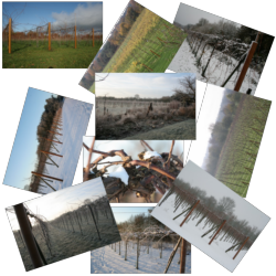 Link naar de Fotogallerij van seizoen winter